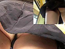 Bus upskirt collection of pussies