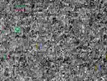 korean exibisionist in sangakji