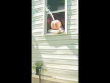 HORNY dildo orgasm chorros por la ventana mientras los vecinos están afuera!