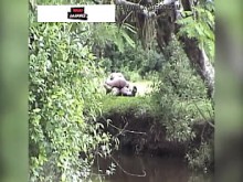 Pareja rural pillada teniendo sexo en el bosque