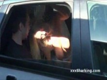 Rubia cachonda Halie soplando a BF en el auto quedó atrapado en cinta