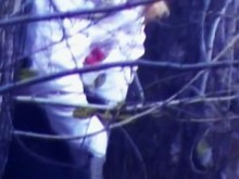 El público captura a una chica sexy orinando en el bosque