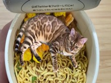 En lugares que nunca imaginaste.