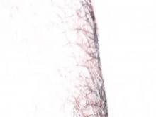 Encuentra una colab para que la pruebes 1/5