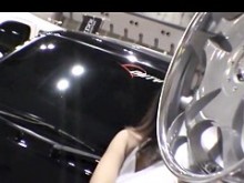 1919gogo 7562 compañero de trabajo minucioso 77