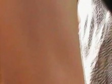 Culos sexys con faldas ajustadas en el autobús upskirt (falso)