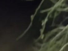 Mamada pública en el parque por la noche