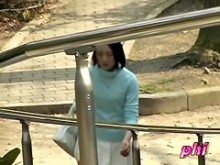 Escoria bonita e inocente recibiendo ataque de tiburón durante un paseo por el parque