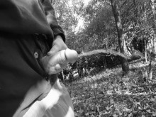 La orina pública de Woodland resultó en una polla dura que casi fue atrapada, así que solo tuve que masturbarme hasta que el semen saliera a chorros.