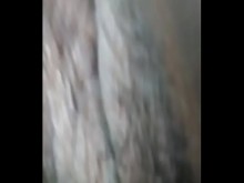 Pequeña zorra negra