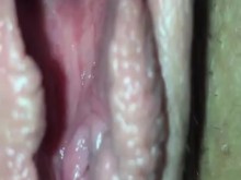 Benwa en el coño cremoso