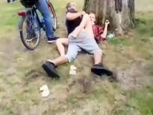 perra morena recibe un golpe en el parque de la ciudad