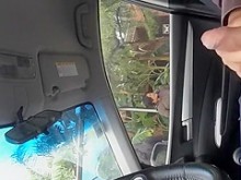 Sentarse en el semáforo y jugar con los genitales.
