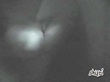 Dulces culos y coños japoneses revelados al máximo