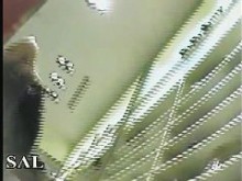 Sensual puta caliente captada en un vídeo upskirt (falso)